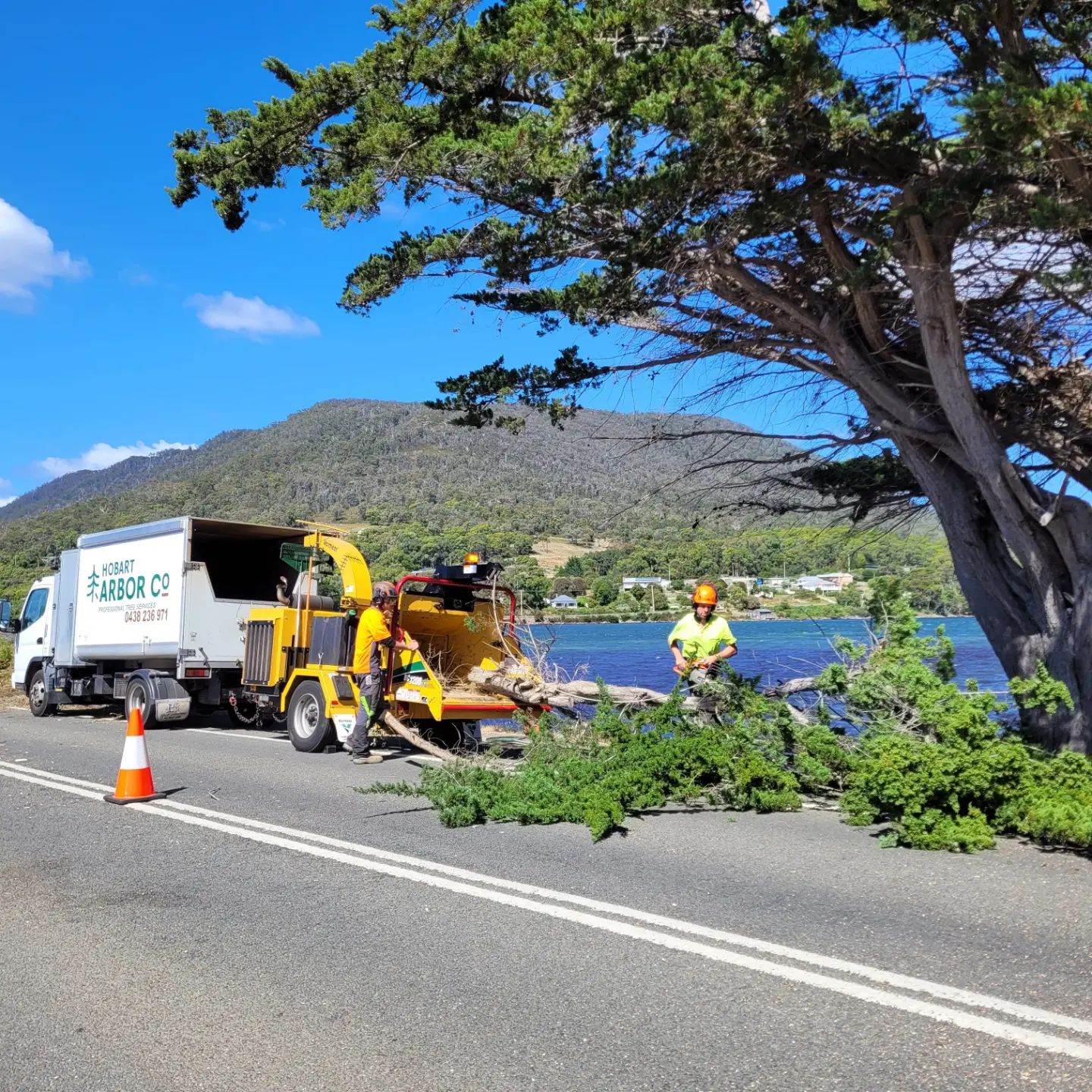 Emergency Tree Services