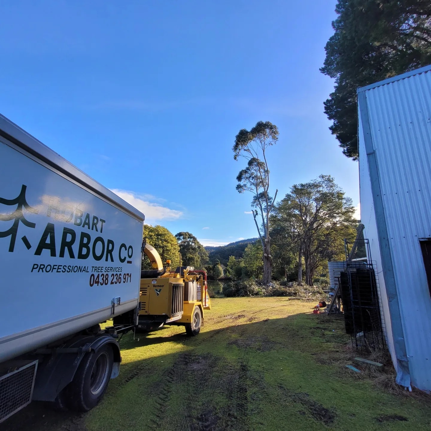 Emergency Tree Services