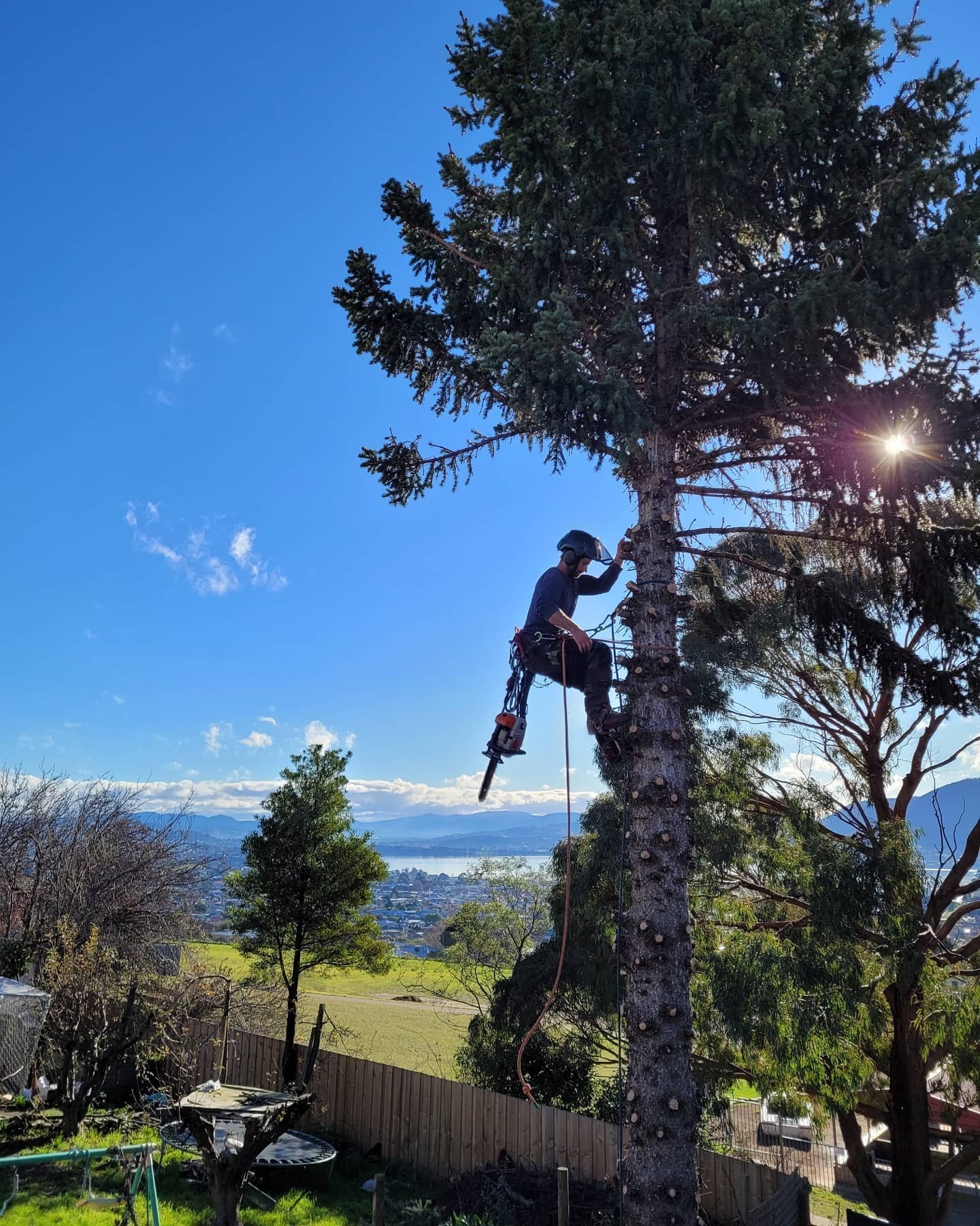 Tree Removal Hobart